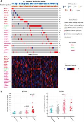 Comprehensive Analysis of Regulatory Networks of m6A Regulators and Reveals Prognosis Biomarkers in Sarcoma